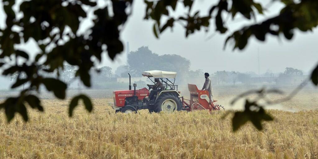 Exploring the effects of the green revolution on agriculture - Image 3