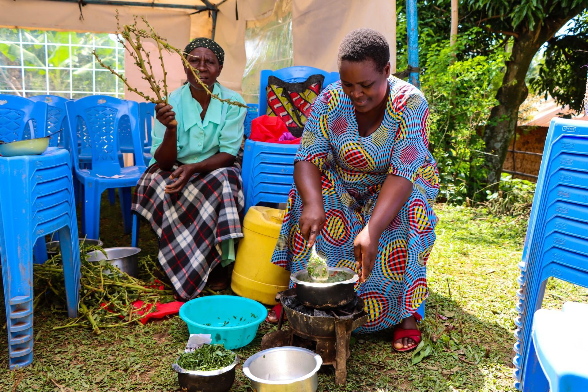 Exploring the Rich Diversity of Traditional Leafy Vegetables in Vihiga County, Kenya - Image 4