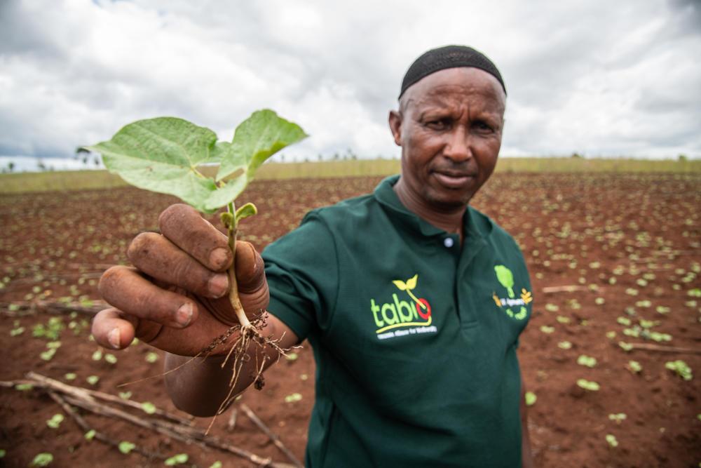 Farmer Bakari Hamisi Sumawe in Karatu, Arusha, Tanzania -Alliance Bioversity International - CIAT