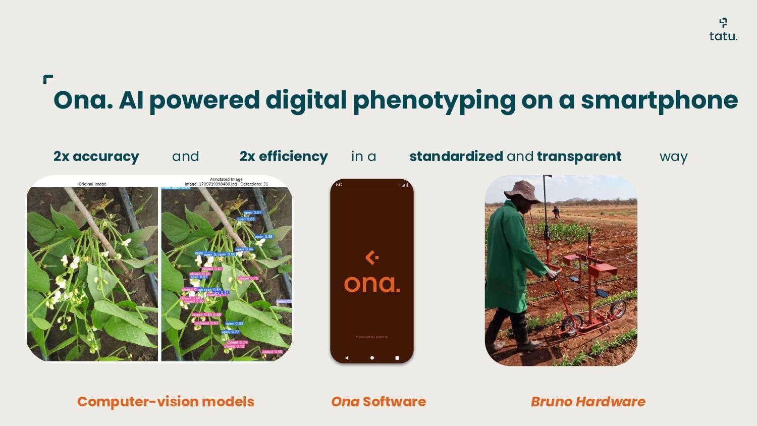 Farmers speak, NDIZI listens how AI is helping put farmers first in crop breeding - Image 3