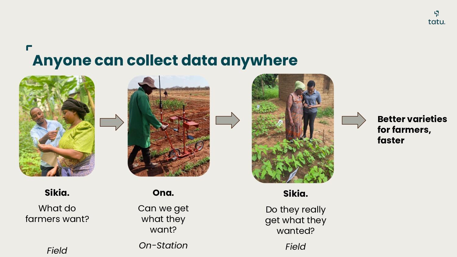 Farmers speak, NDIZI listens how AI is helping put farmers first in crop breeding - Image 4