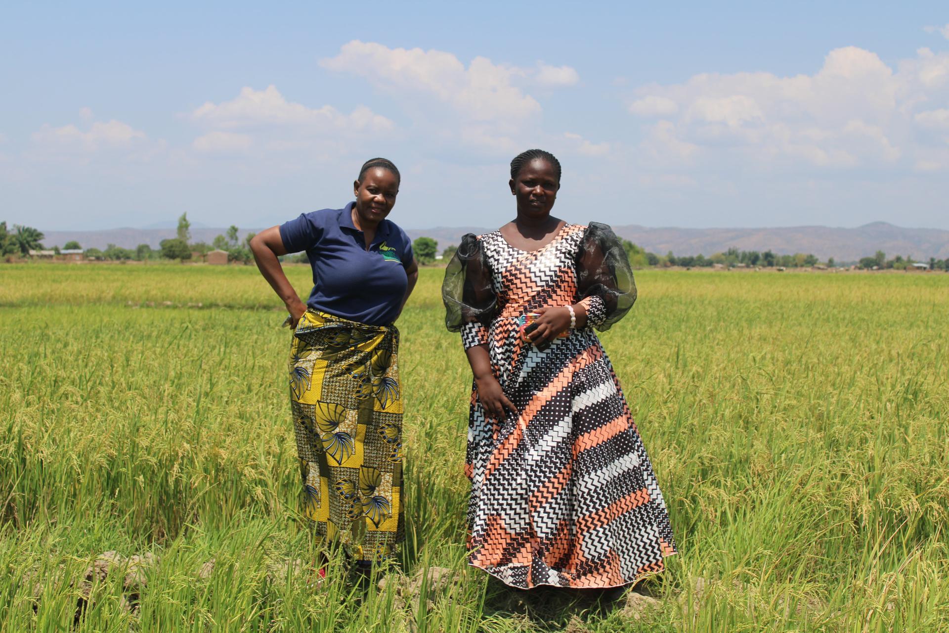 Farming, Food, and Empowerment: Malawi’s Homes Industries