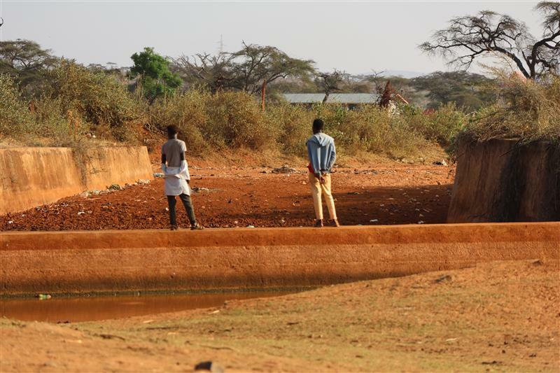 Forecasts across the frontier How climate data is guiding pastoralists - Image 5