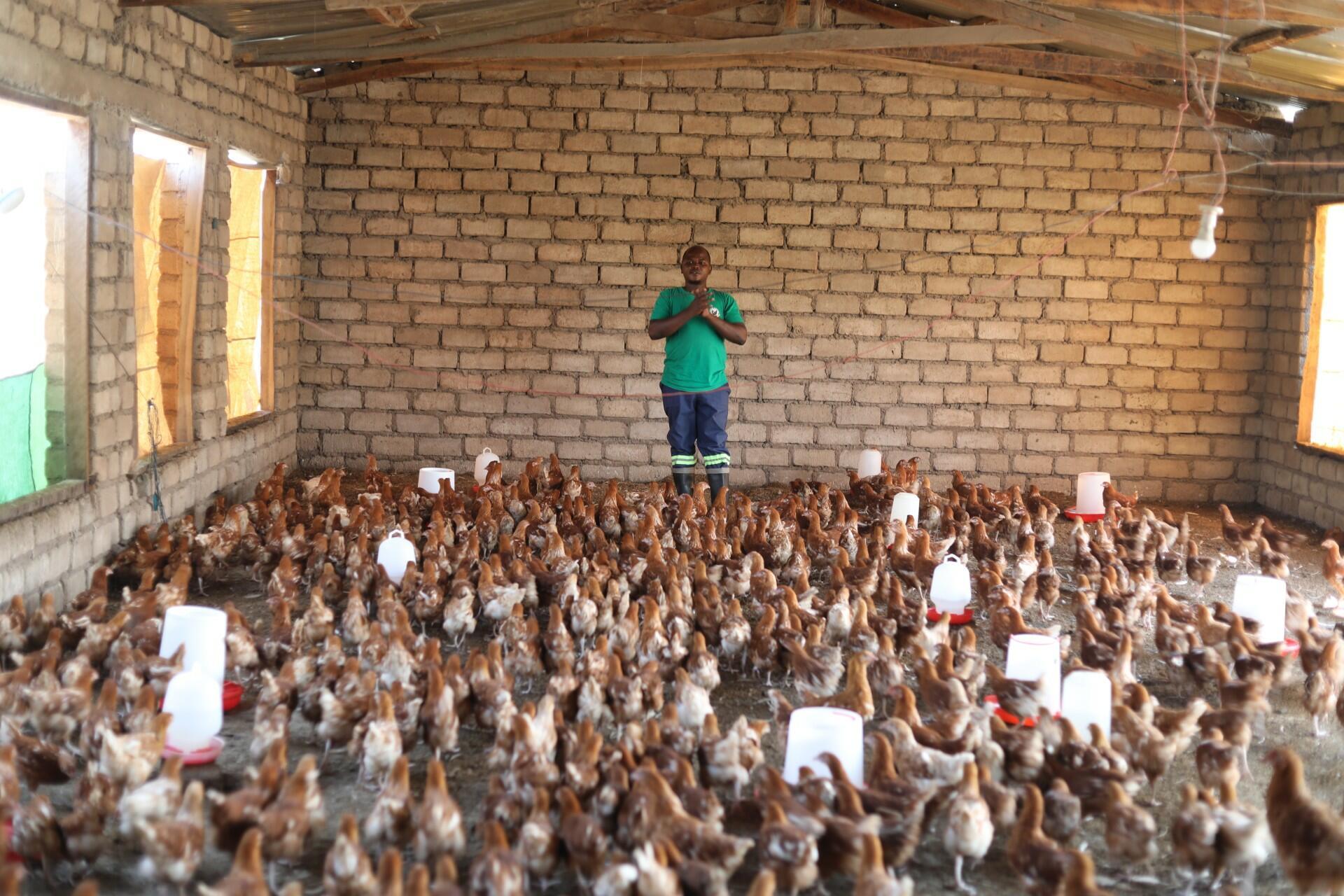 From a failed start to a thriving farm - How the right help changed Mphatso Kapito&rsquo;s entrepreneurship life - Image 2