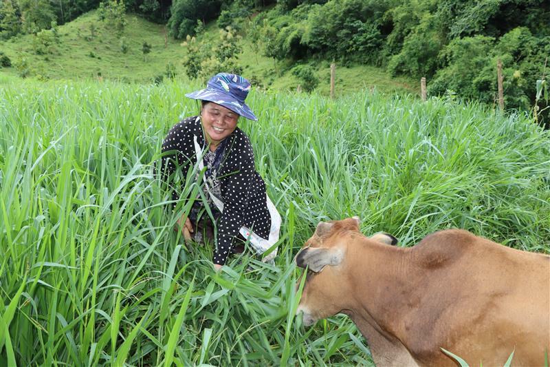 From a family farm in Kenya to advancing forage innovations in Asia - A conversation with Mary Atieno - Image 1