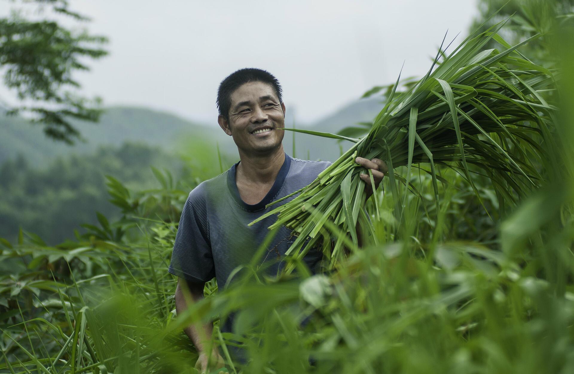 From a family farm in Kenya to advancing forage innovations in Asia - A conversation with Mary Atieno - Image 10