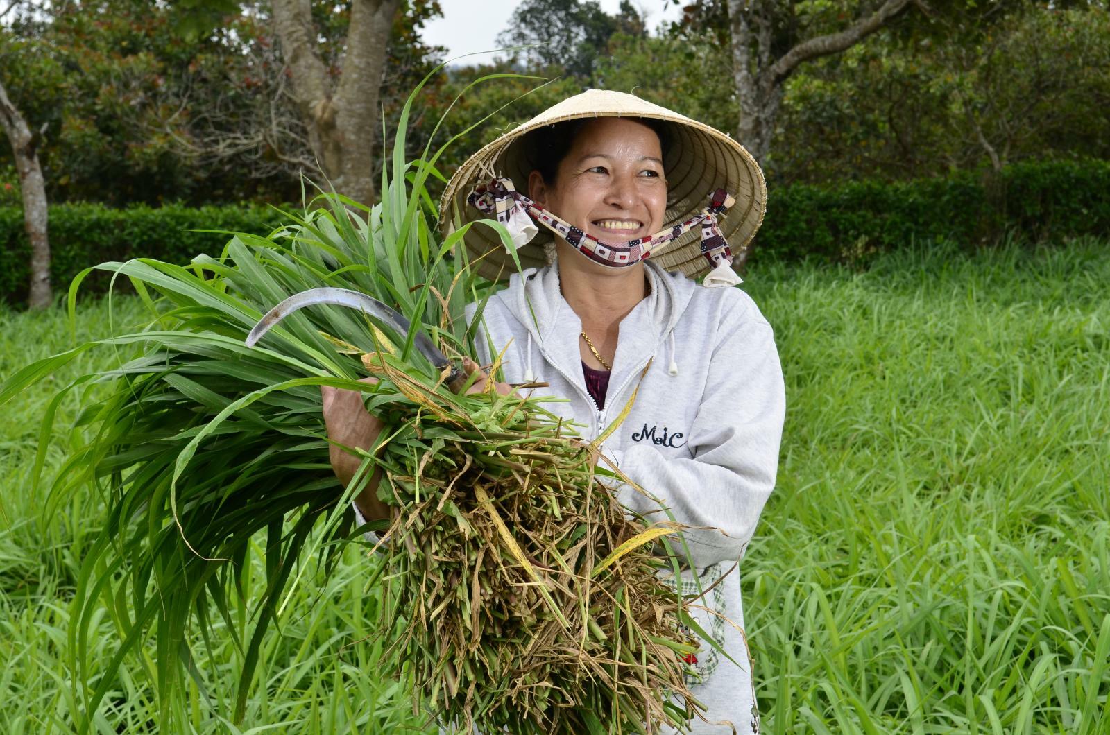 From a family farm in Kenya to advancing forage innovations in Asia - A conversation with Mary Atieno - Image 9
