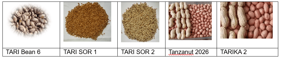 From baking to building - Esther&rsquo;s transformational seed-driven agri-food venture - Image 2