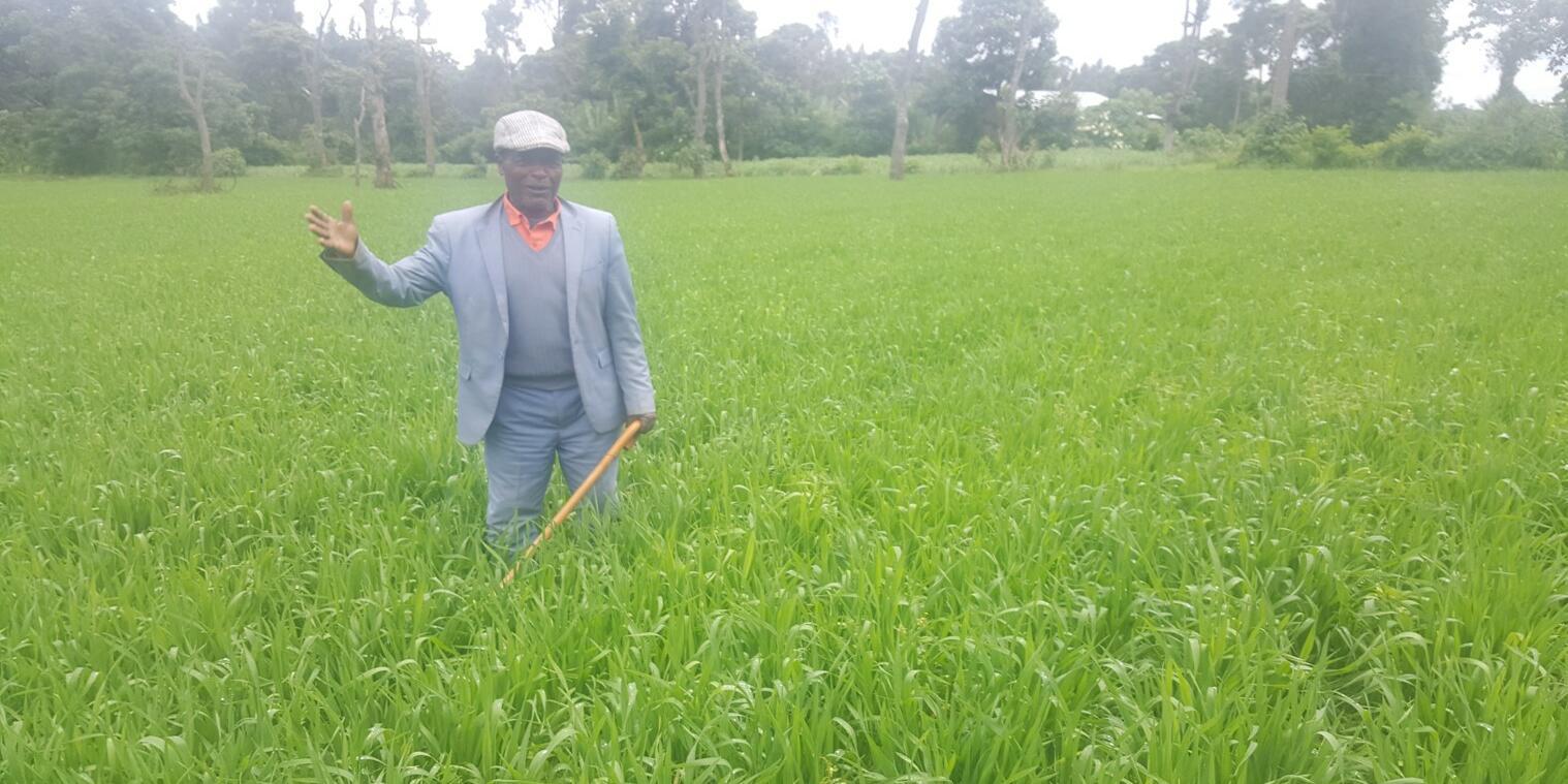 From data to decision - Institutionalizing smart fertilizer recommendations through HaFAS in Ethiopia - Alliance of Bioversity International and CIAT - Image 2