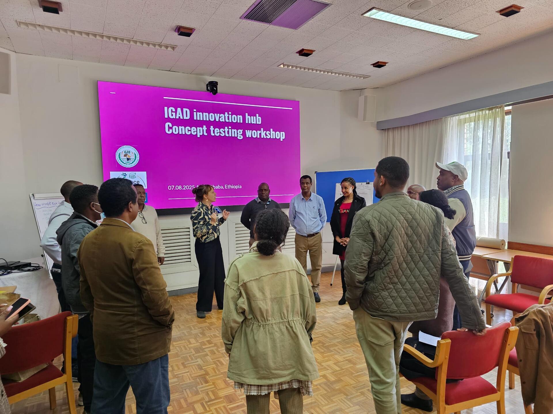 From ideas to impact Co-Creating - IGAD&rsquo;s innovation hub for pastoralist resilience - Image 4