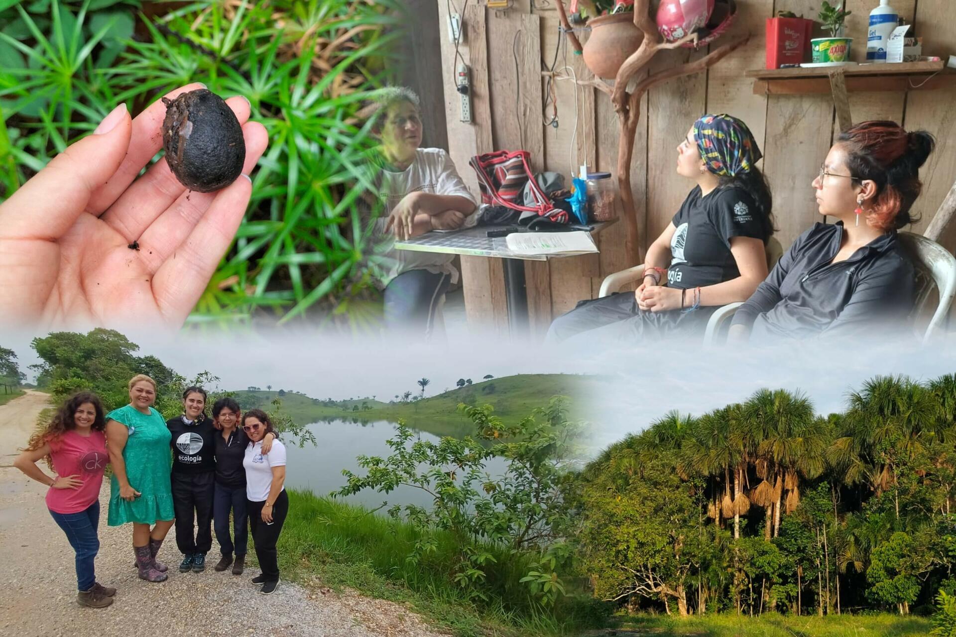 From Palm to Progress - Women, Canangucha, and the Future of the Amazon - Image 2