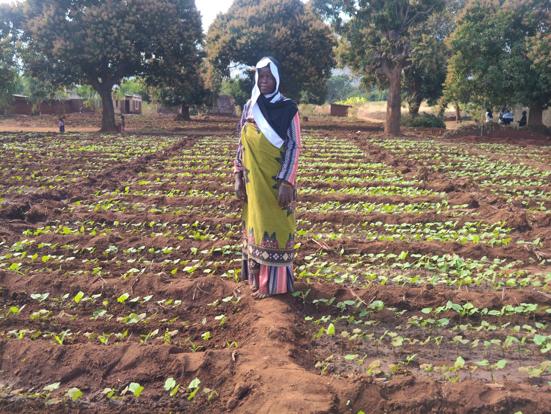 From parched land to productive farms - AID-I paves the way in Malawi - Image 1