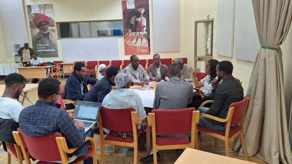 From Pilots to Systems Change - Scaling Gender Transformative Socio-Technical Innovation Bundles in Ethiopia - image 2