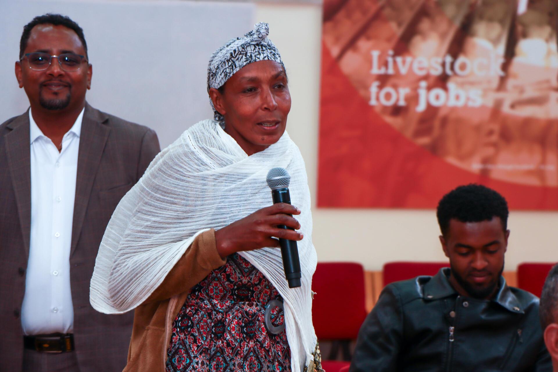 From Pilots to Systems Change - Scaling Gender Transformative Socio-Technical Innovation Bundles in Ethiopia - image 3