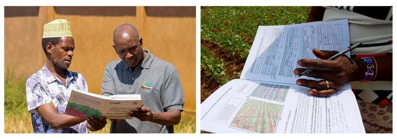 From project support to institutional ownership of climate services - Image 1