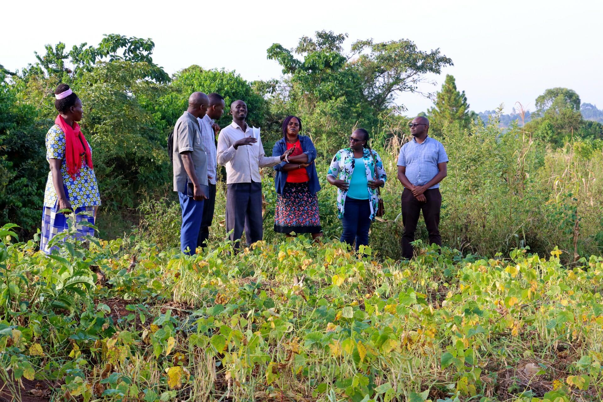 From Transformation to Sustainability - Scaling Inclusive Climate Services in East Africa - Image 1