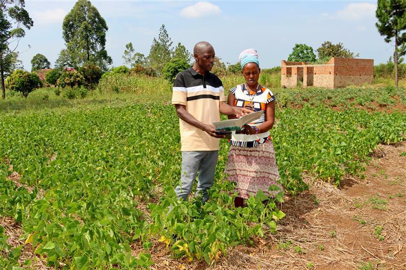 From Transformation to Sustainability - Scaling Inclusive Climate Services in East Africa - Image 3