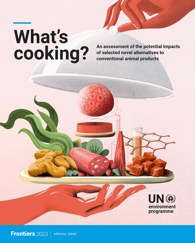 What's cooking? UNEP Report