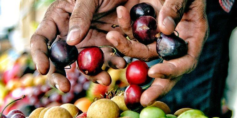 Fruit trees and farmers first a conversation with Smitha Krishnan - Image 6