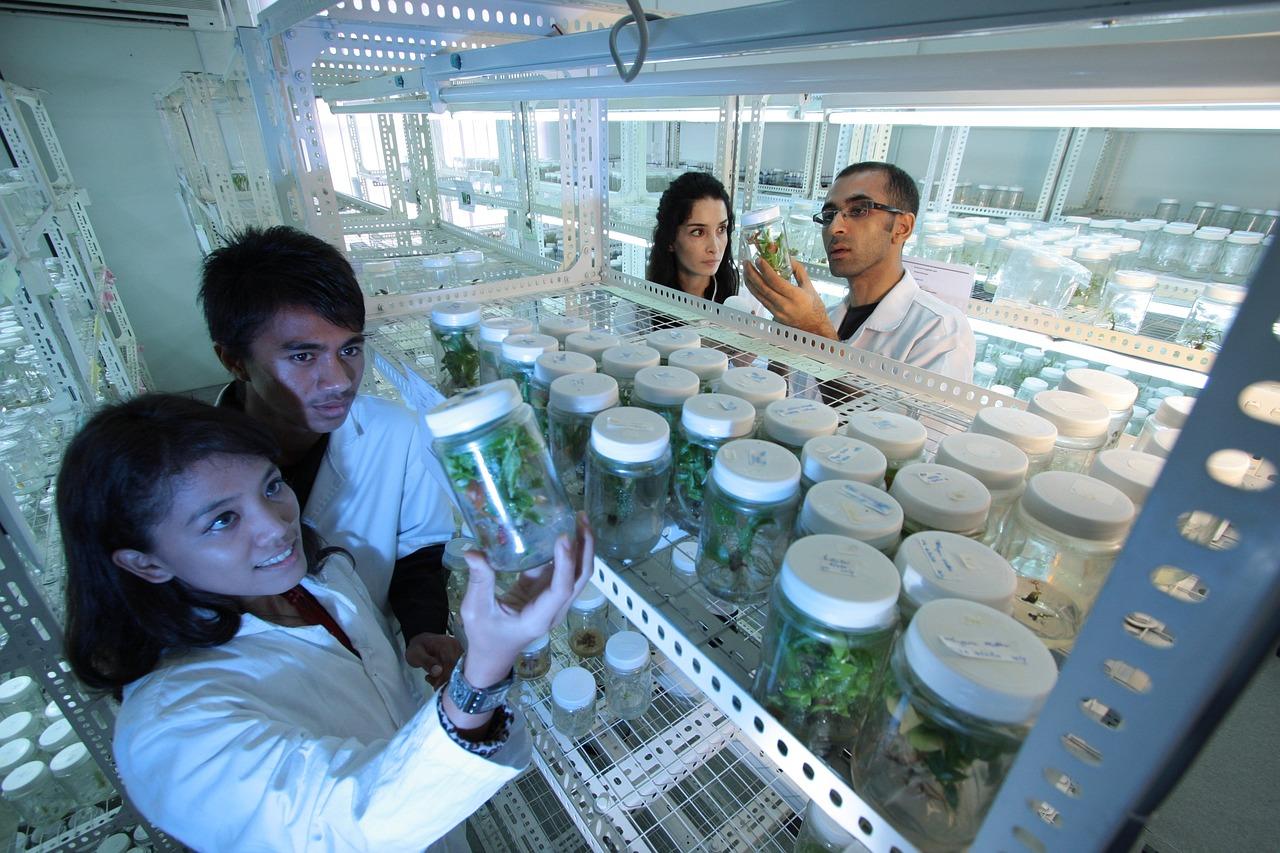 Appeal to G20 Policy Makers to Increase Public Funds Toward Agricultural research development  to Strengthen Enabling Environment for Innovation - Alliance Bioversity International - CIAT