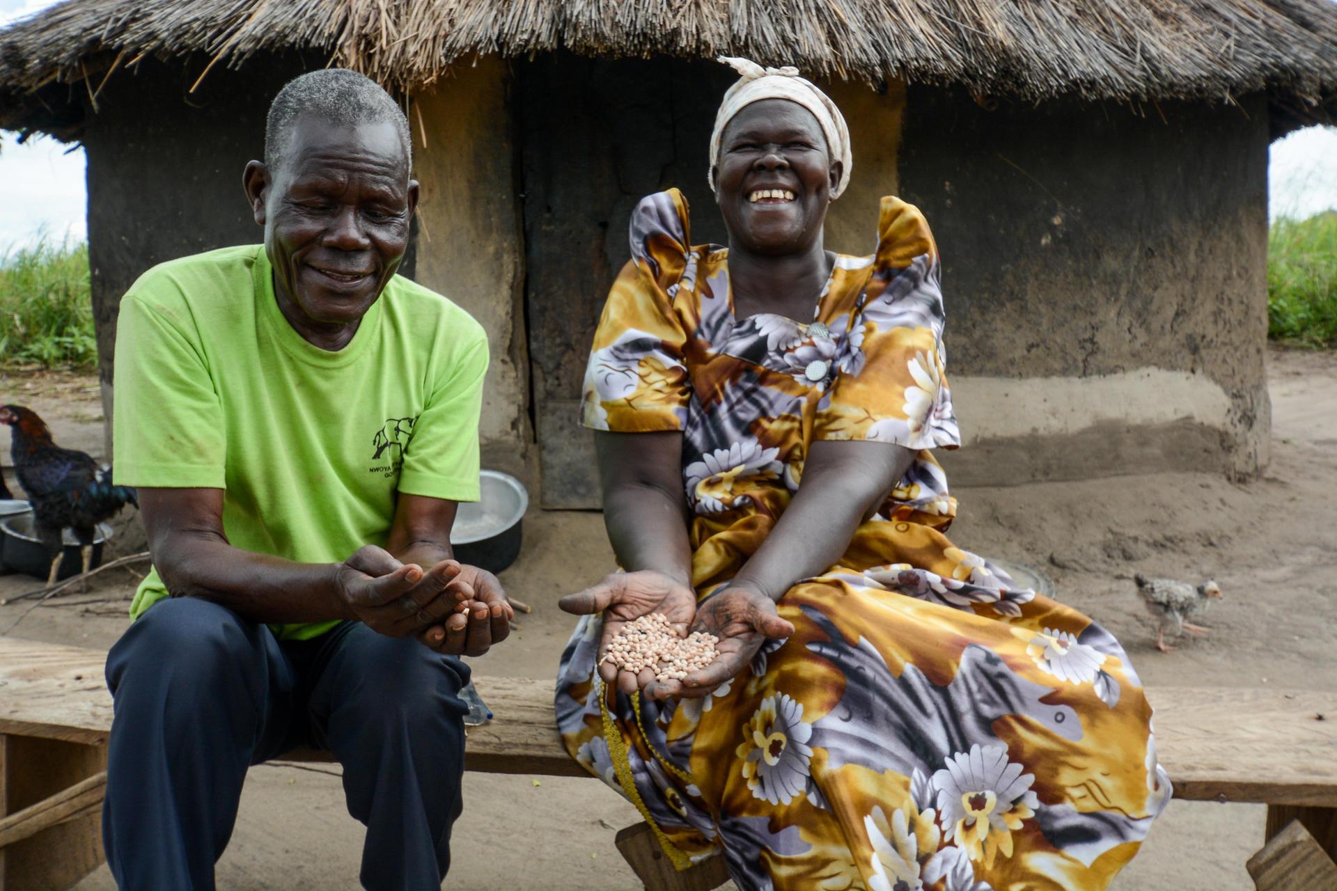 Gender and Social Inclusion in Biodiversity for Food and Agriculture - Image 1 - Alliance Bioversity International - CIAT