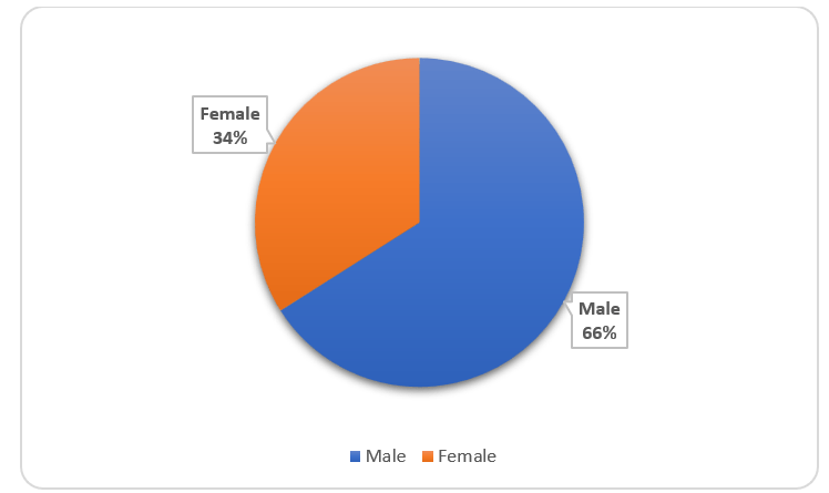 Gender Distribution of SMEs in the Acceleration Program 
