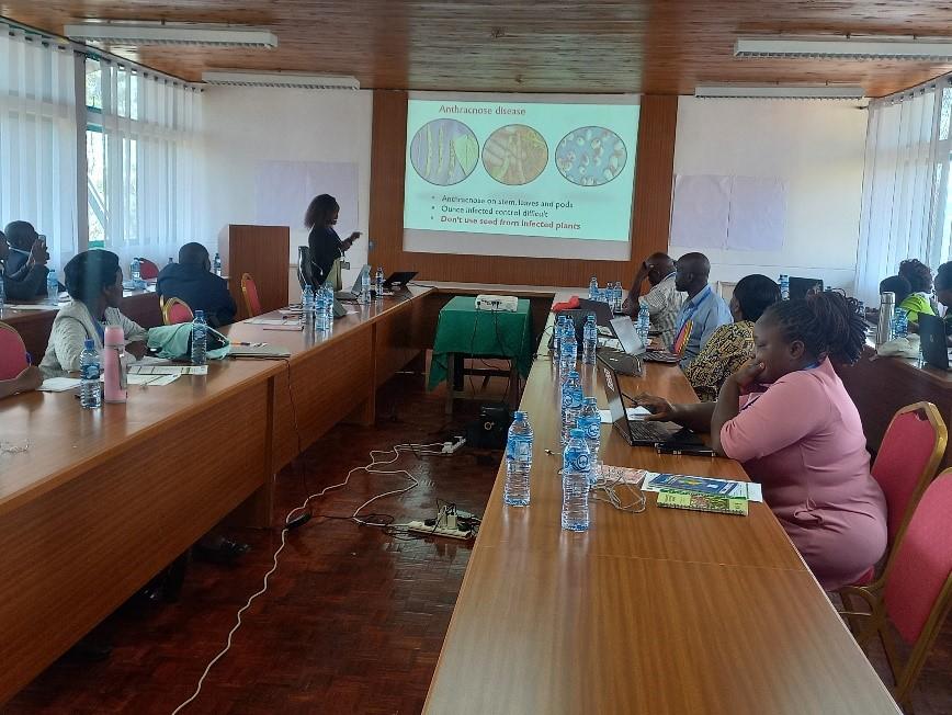 Gender-responsive Bean Research, Digital Extension and Agribusiness, in Laikipia and Nyeri Counties, Kenya - Alliance Bioversity International - CIAT