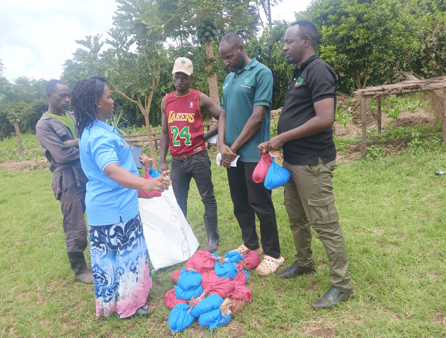 Grain Trader Seed Delivery Model for Groundnut in Tanzania - The Case of Mavuno Improvement for Community Relief and Services - Image 1