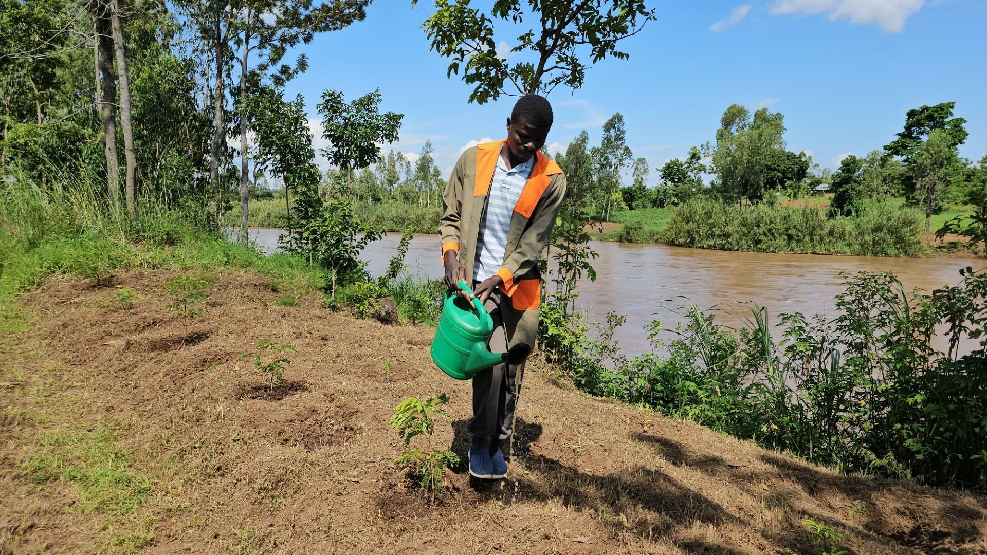 Grow Trees. Grow Futures.  Restore landscapes with farmers - Alliance Bioveristy International - CIAT - Image 2