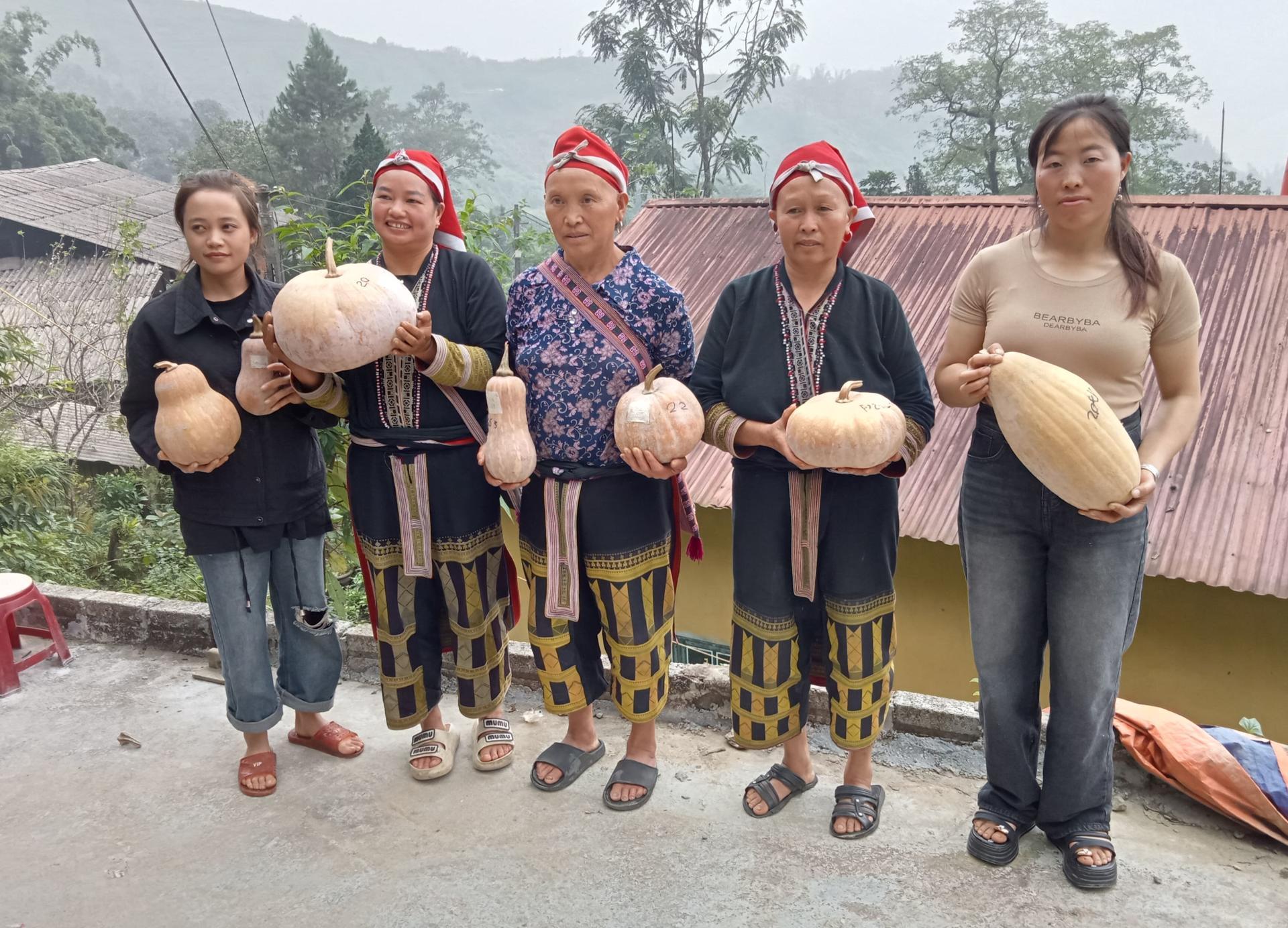 Growing into pumpkin custodians - women farmers in North Vietnam discover the power of participatory variety selection - Image 2