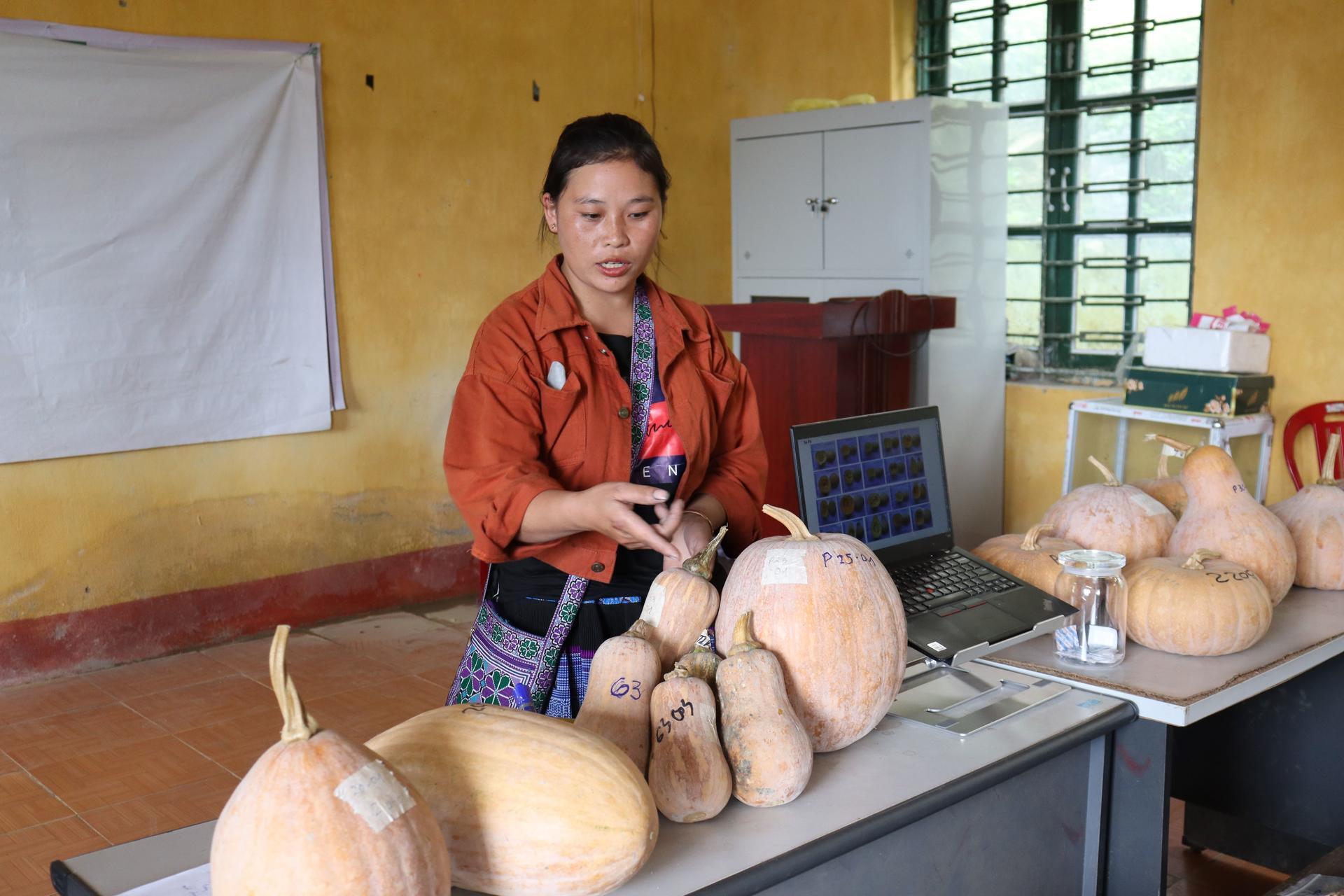 Growing into pumpkin custodians - women farmers in North Vietnam discover the power of participatory variety selection - Image 6