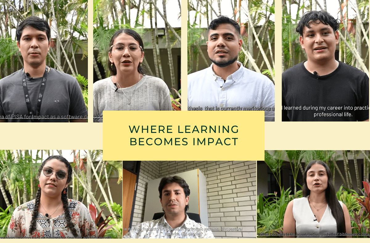Growing knowledge, growing impact - how Alliance&rsquo;s mentorship shapes emerging researchers - Image 1