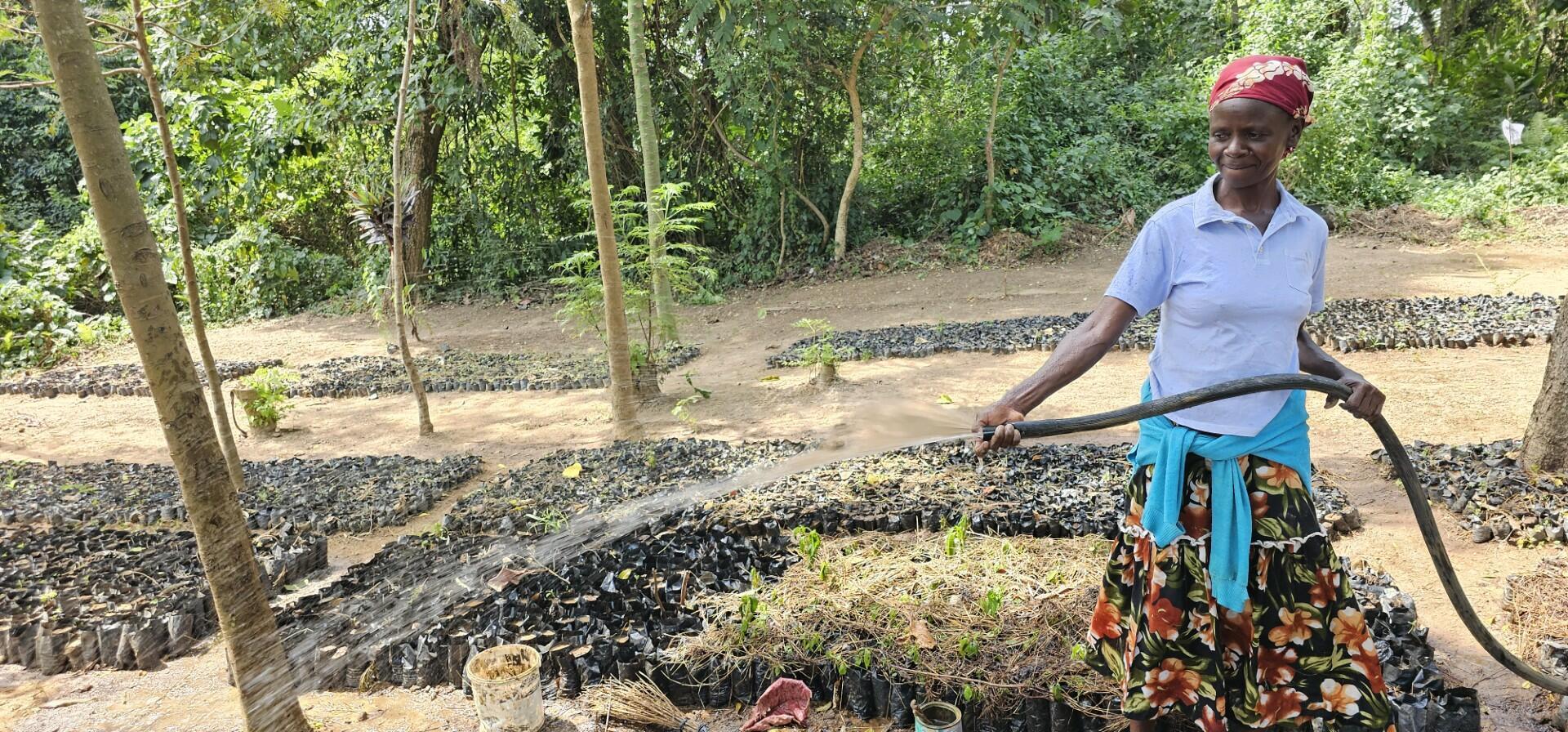 Growing Trees, Growing Futures - The Impact of the My Farm Trees Project  - Image 1