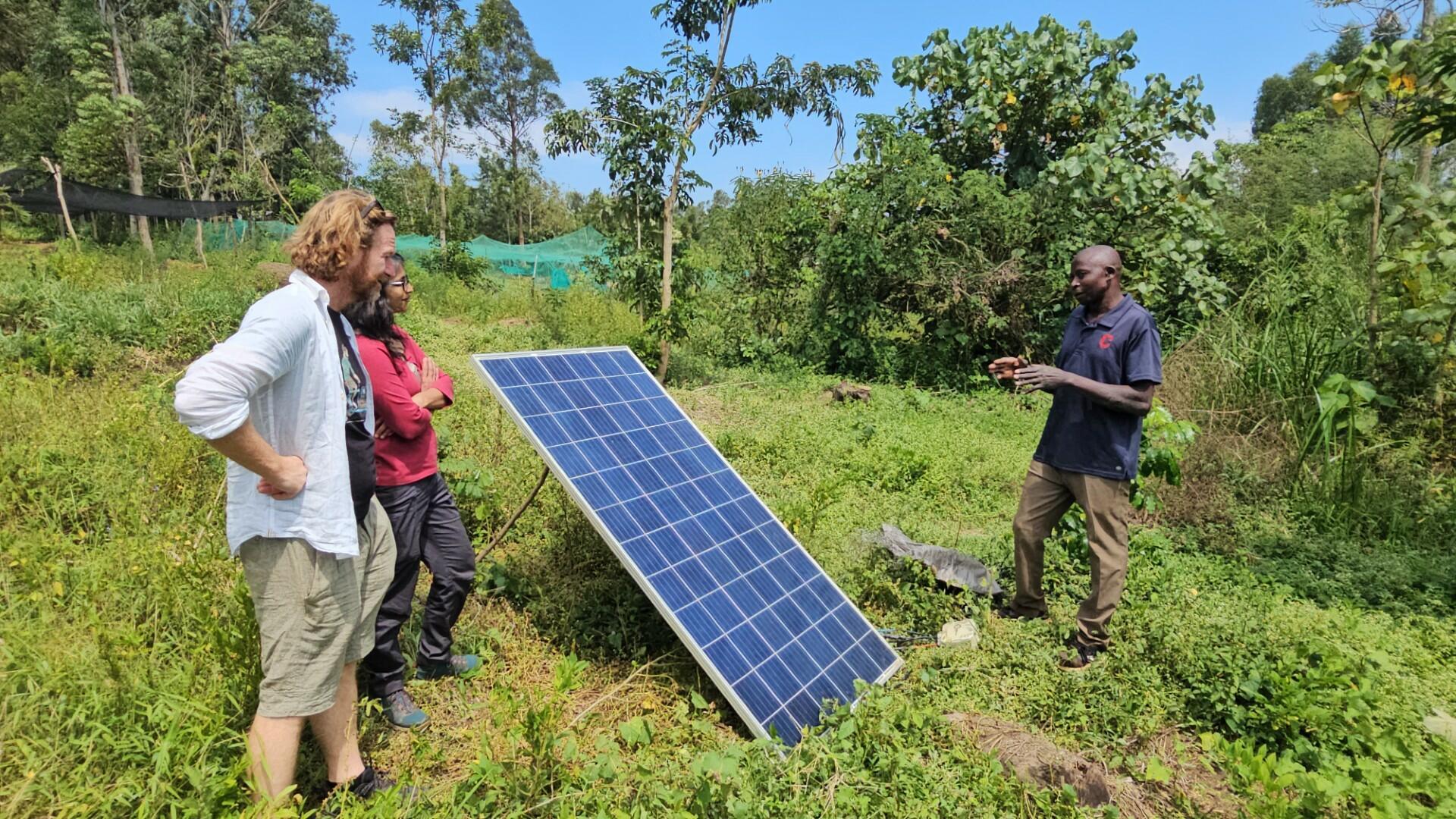 Growing Trees, Growing Futures - The Impact of the My Farm Trees Project  - Image 2