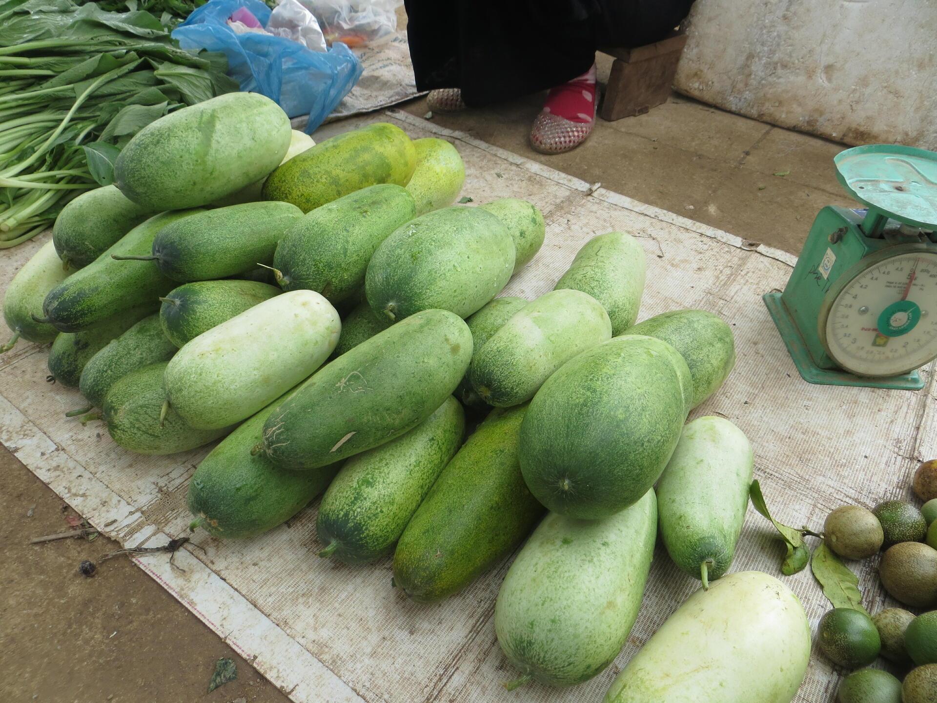 HMong cucumber in Hat Lot town-Mai Son_Hoang The Ky taken