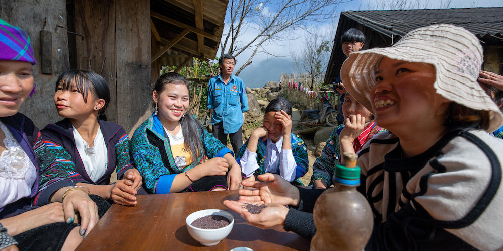 Hmong farmers learn to differentiate high quality seeds. Credit: Alliance of Bioversity International and CIAT/Trong Chinh.