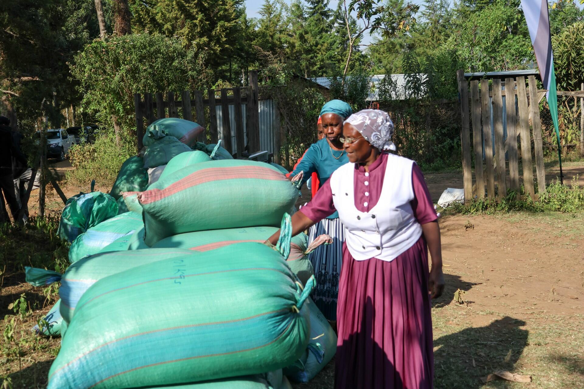 How a bean farmer becomes bankable Connecting demand, markets and investment - Image 2