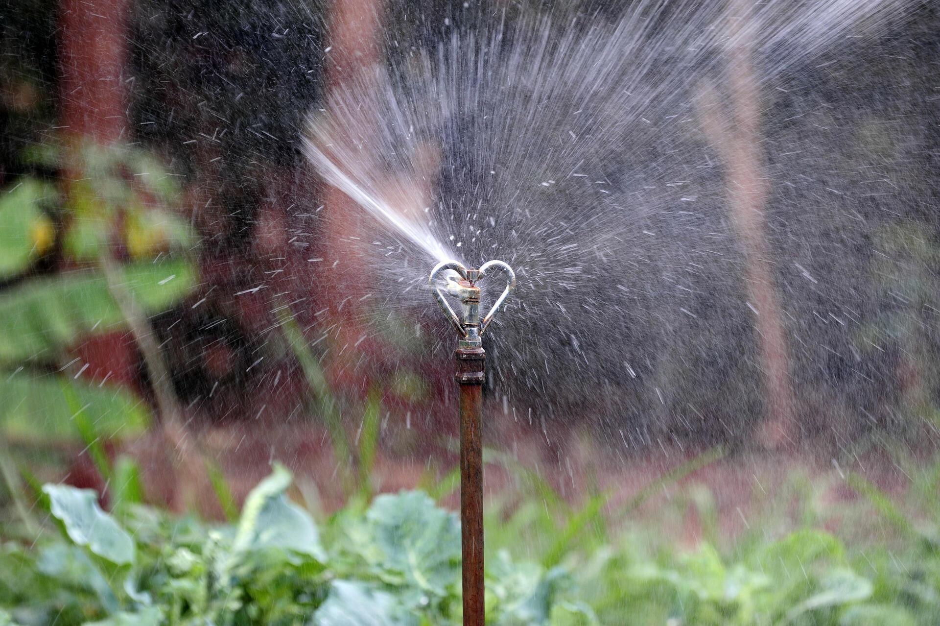 How Digital Agriculture Boosts Crop Yields and Efficiency - Image 5