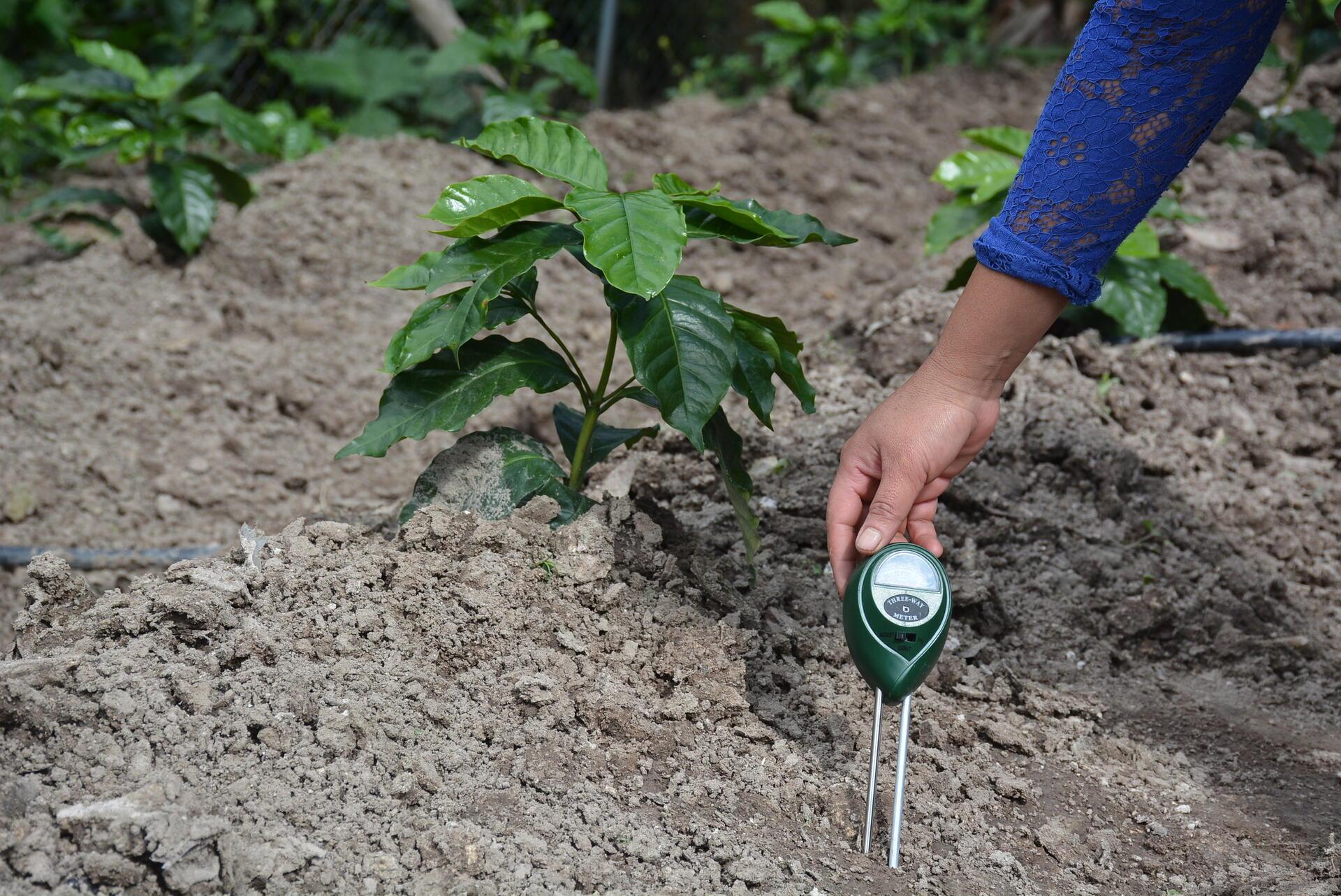 How Digital Agriculture Boosts Crop Yields and Efficiency - Image 7