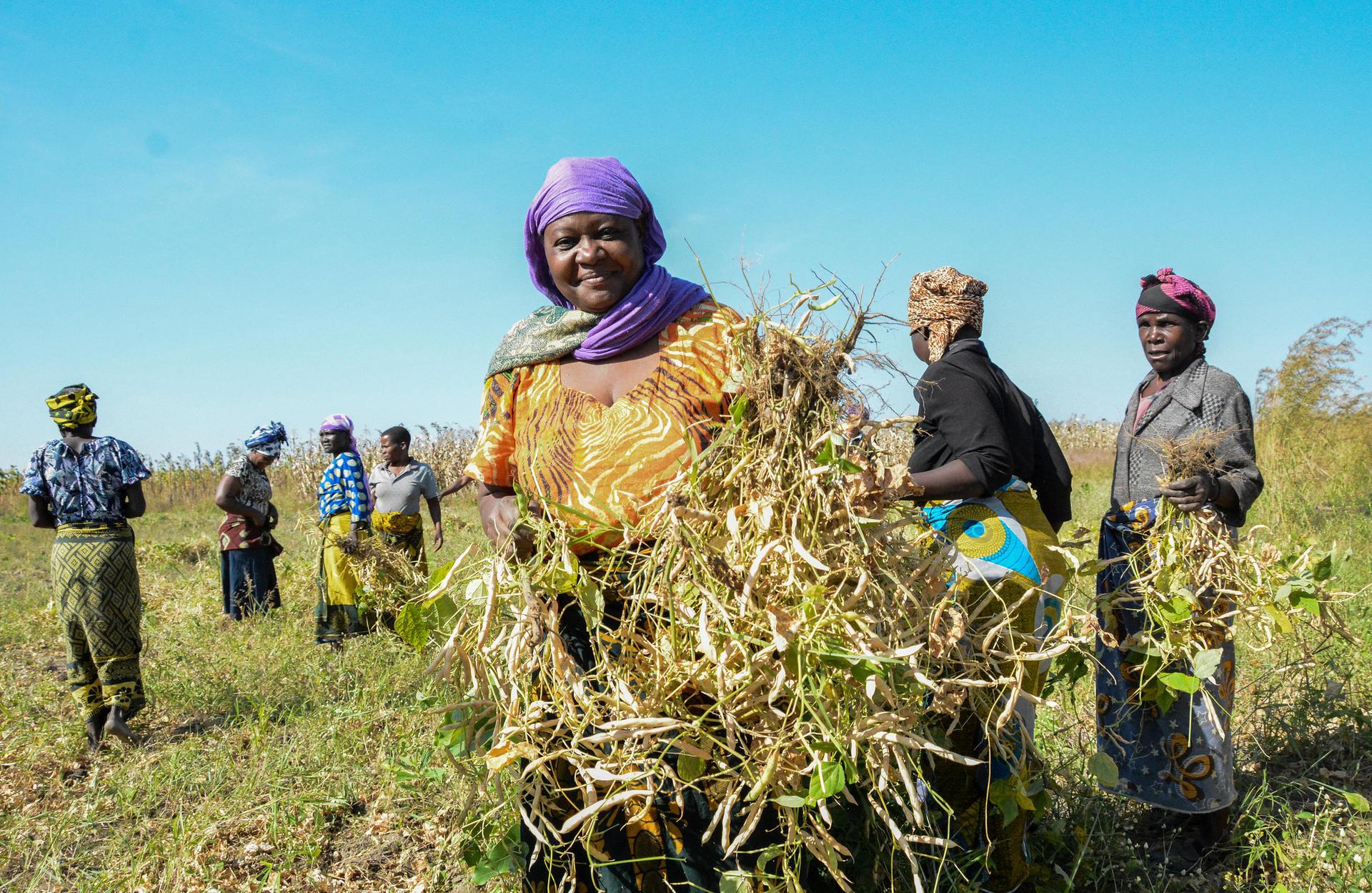 How gender matters in a time of crises - Alliance Bioversity International - CIAT