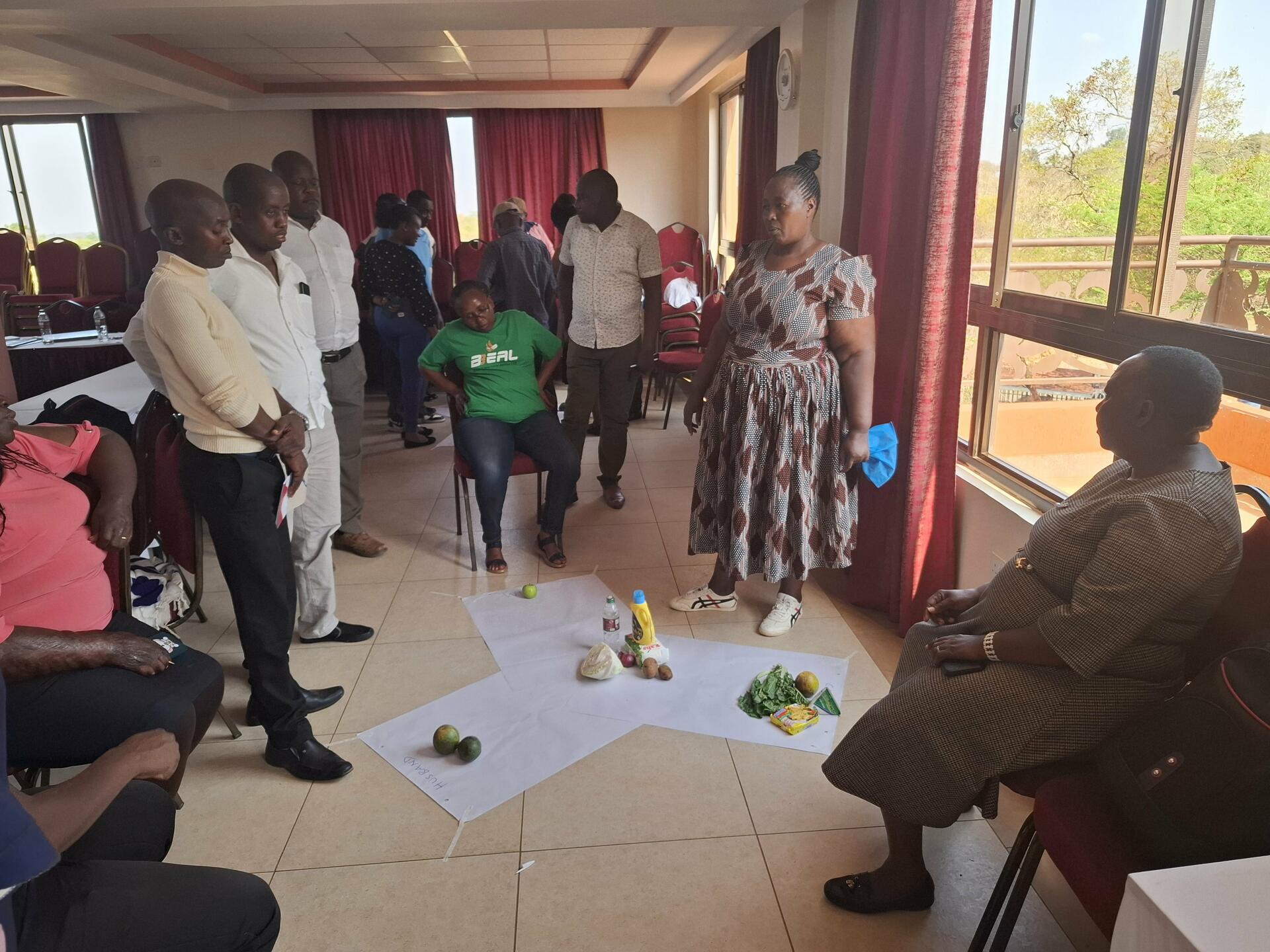 How Gender-Transformative Socio-Technical Innovation Bundles (GTSTIBs) is Revolutionizing Food Security in Kenya's Drylands in Makueni - Image 2