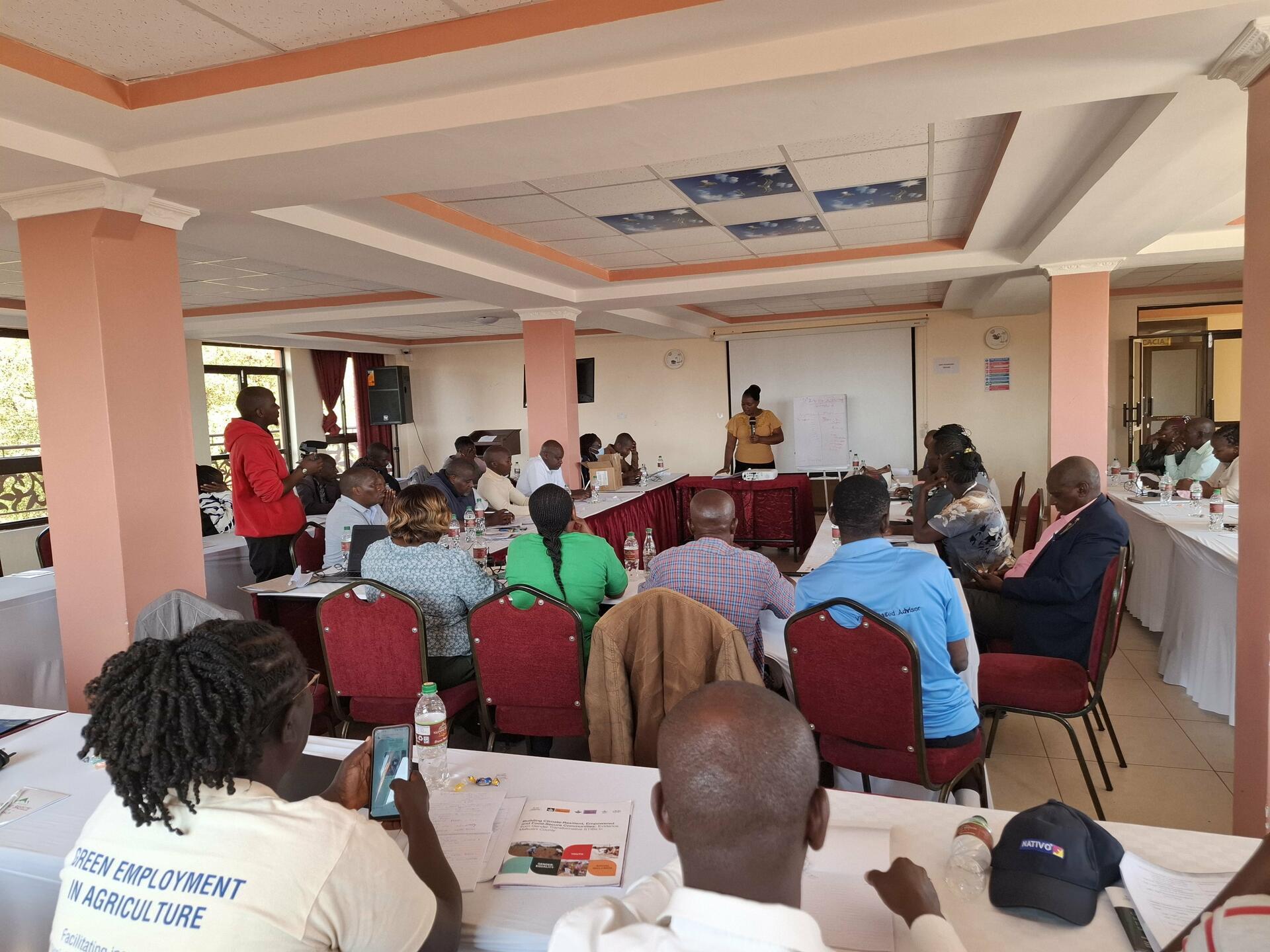 How Gender-Transformative Socio-Technical Innovation Bundles (GTSTIBs) is Revolutionizing Food Security in Kenya's Drylands in Makueni - Image 3