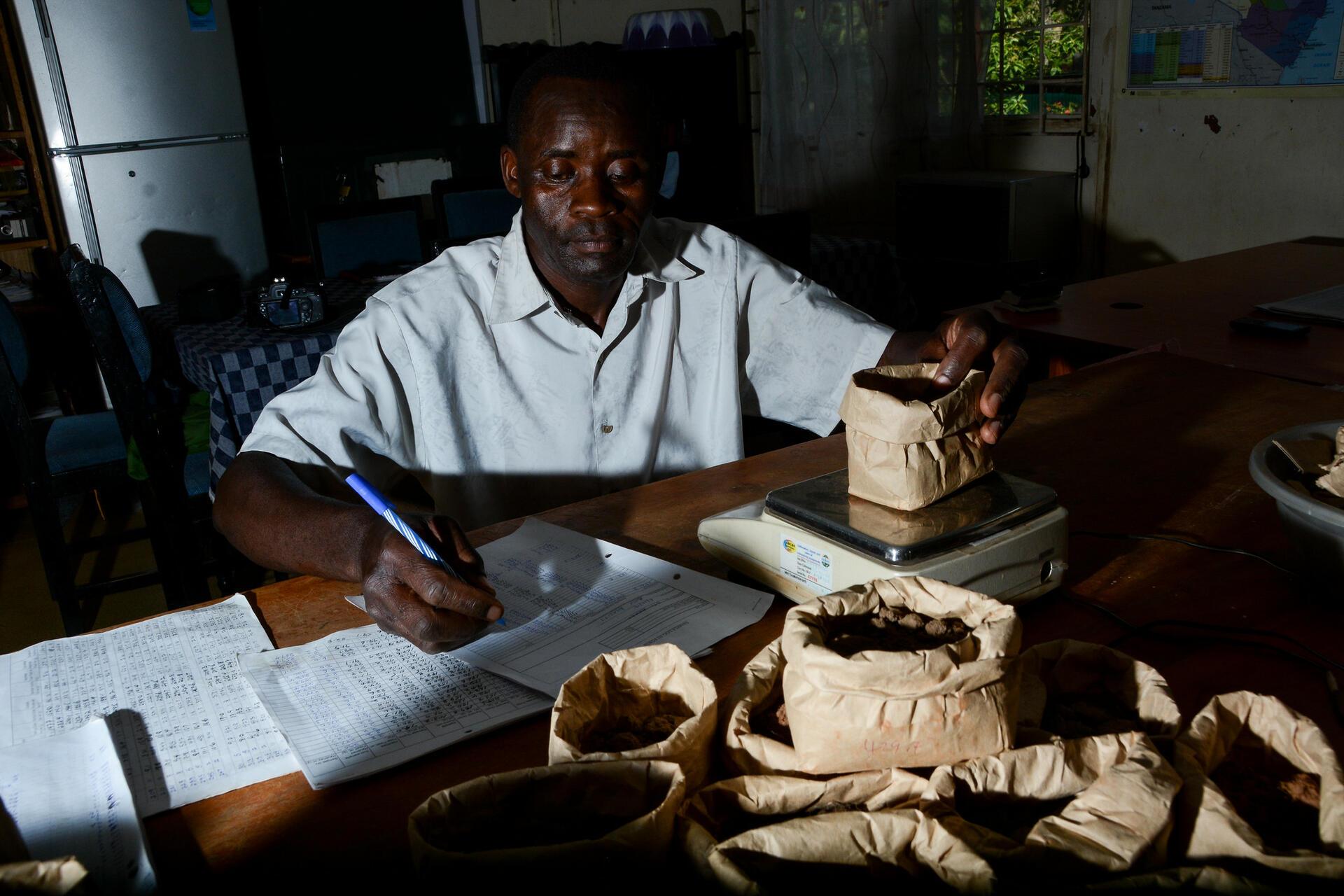 How Indigenous Vegetables Are Changing Kenya's Food Systems - Image 2
