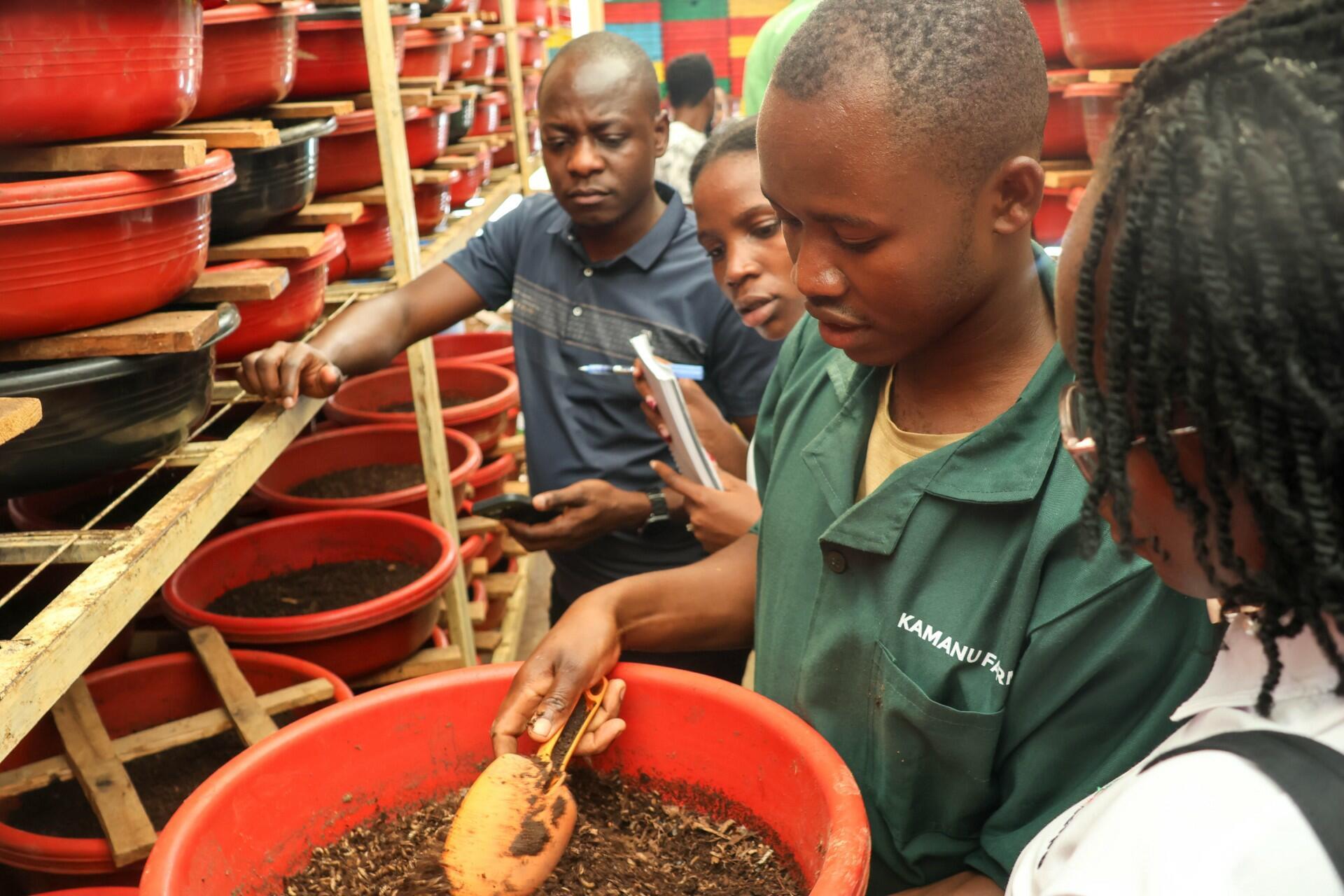 How partnerships are scaling agricultural innovation across Africa - Image 5