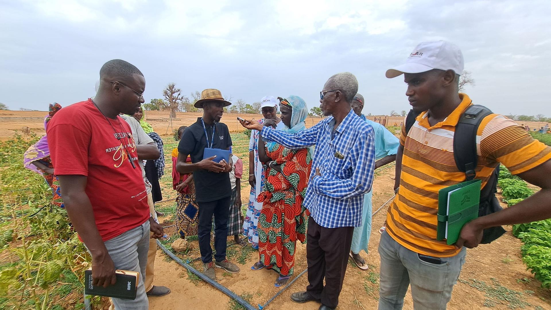 How Youth And Women Are Key To Senegal’s Farming Future - Alliance Bioversity International - CIAT - Image 2