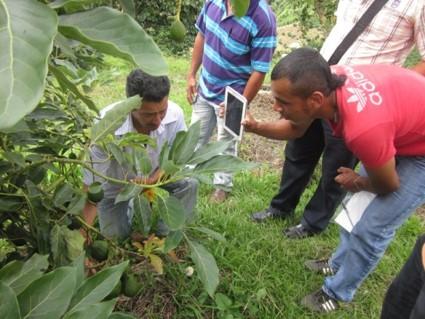 New article on data sharing and use of ICTs in agriculture: working with small farmer groups in Colombia