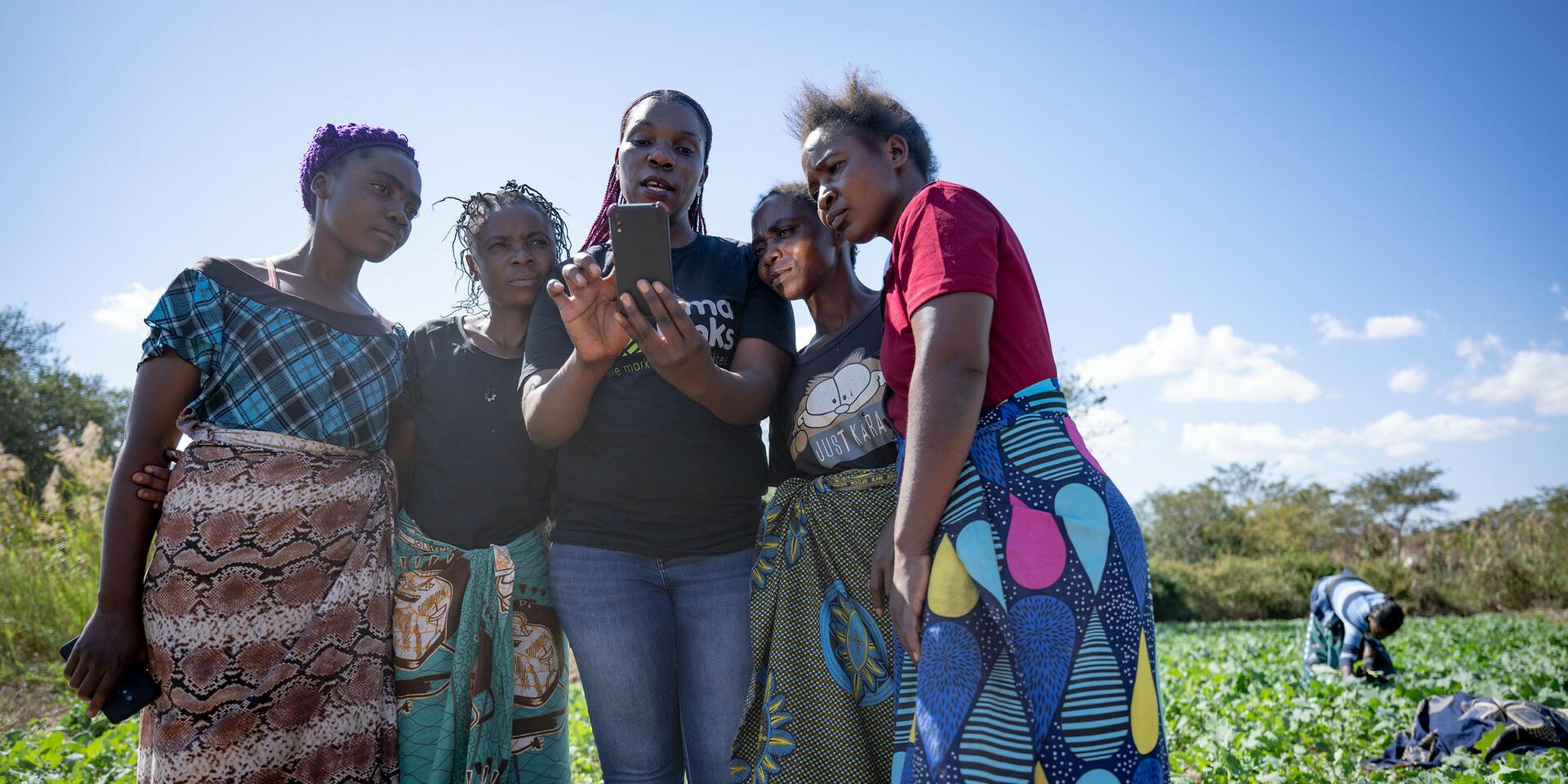 If the science existed, why did it take so long to reach farmers - Alliance bioversity International - CIAT