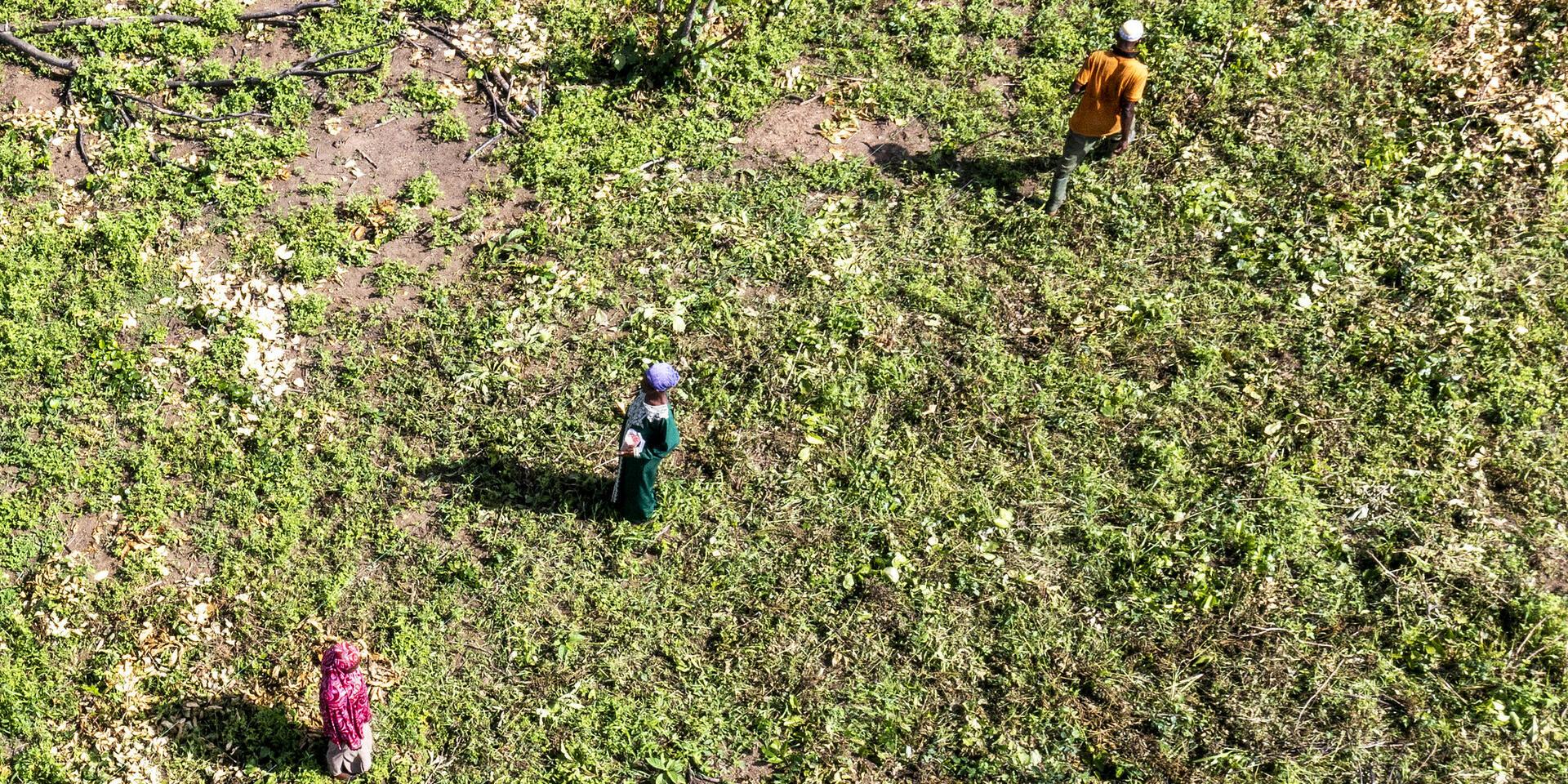 If the science existed, why did it take so long to reach farmers