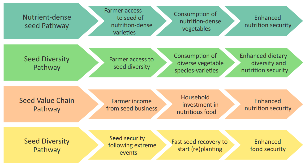 impact pathways from seed to nutrition