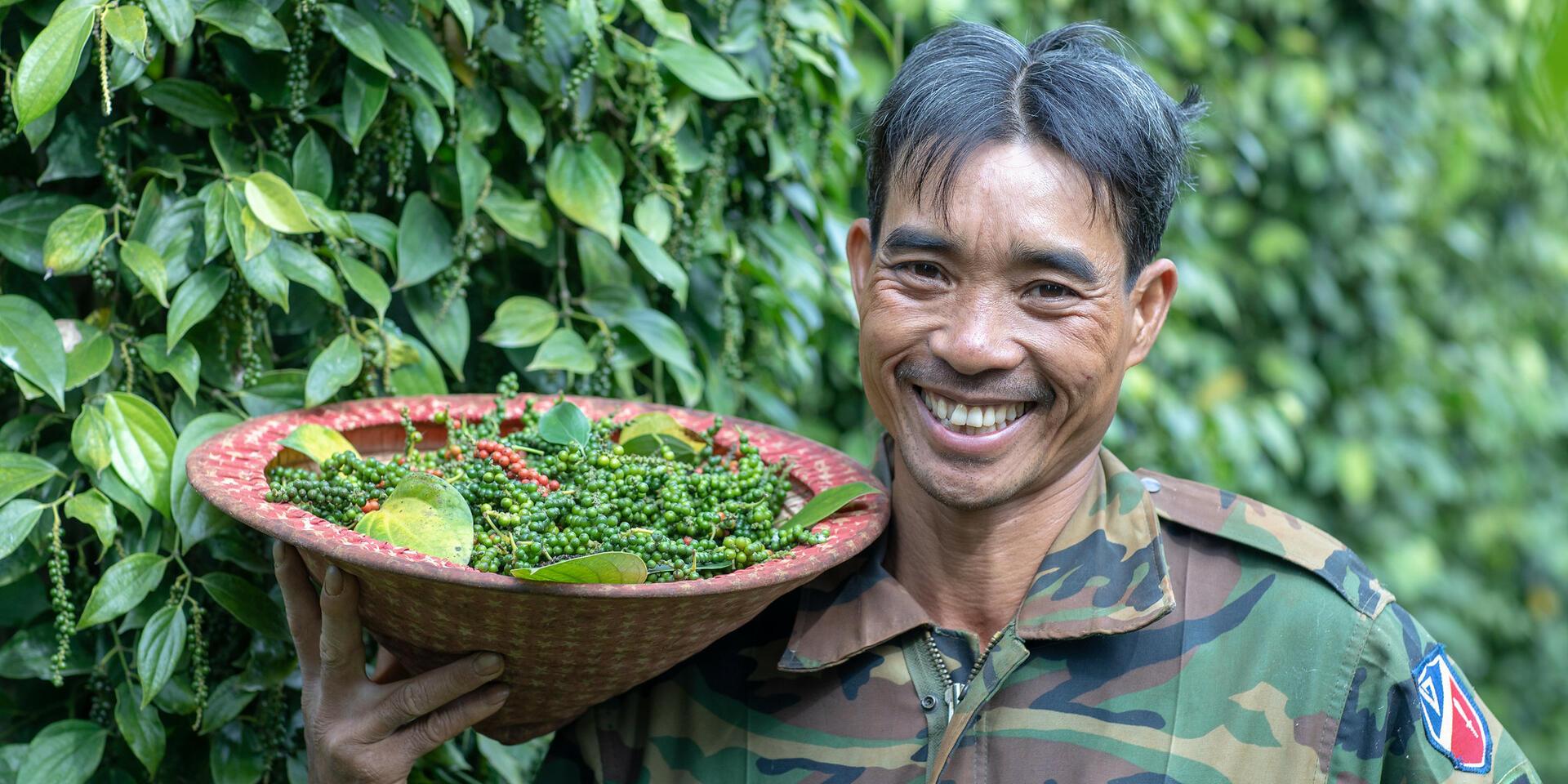 Improving cacao and coffee systems through innovations and partnerships - Image 9